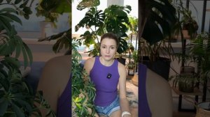 Желтеют и опадают листья у Шеффлеры! Что делать?