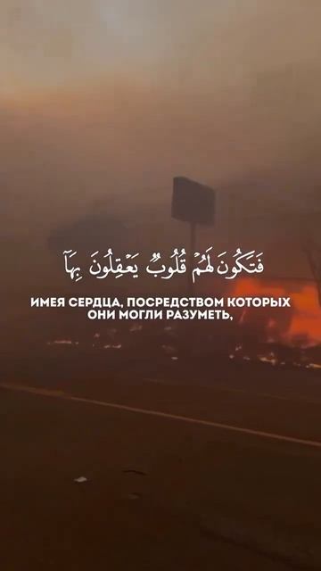 Америка #топ1 #дуэт #обзор #еда #дубай #топ #рецепты #смер смотреть онлайн