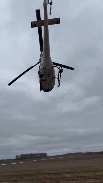 Тест-драйв бывает разный: есть выездной, а есть прилет? смотреть онлайн