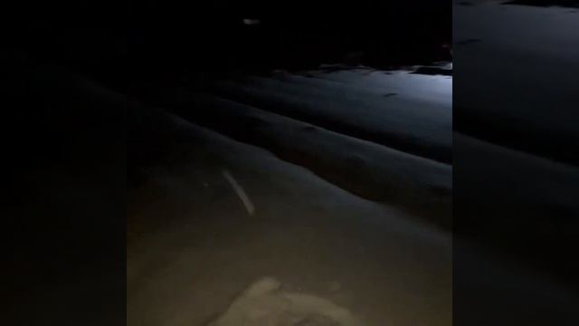 шашлык в родном посёлке под Вологдой