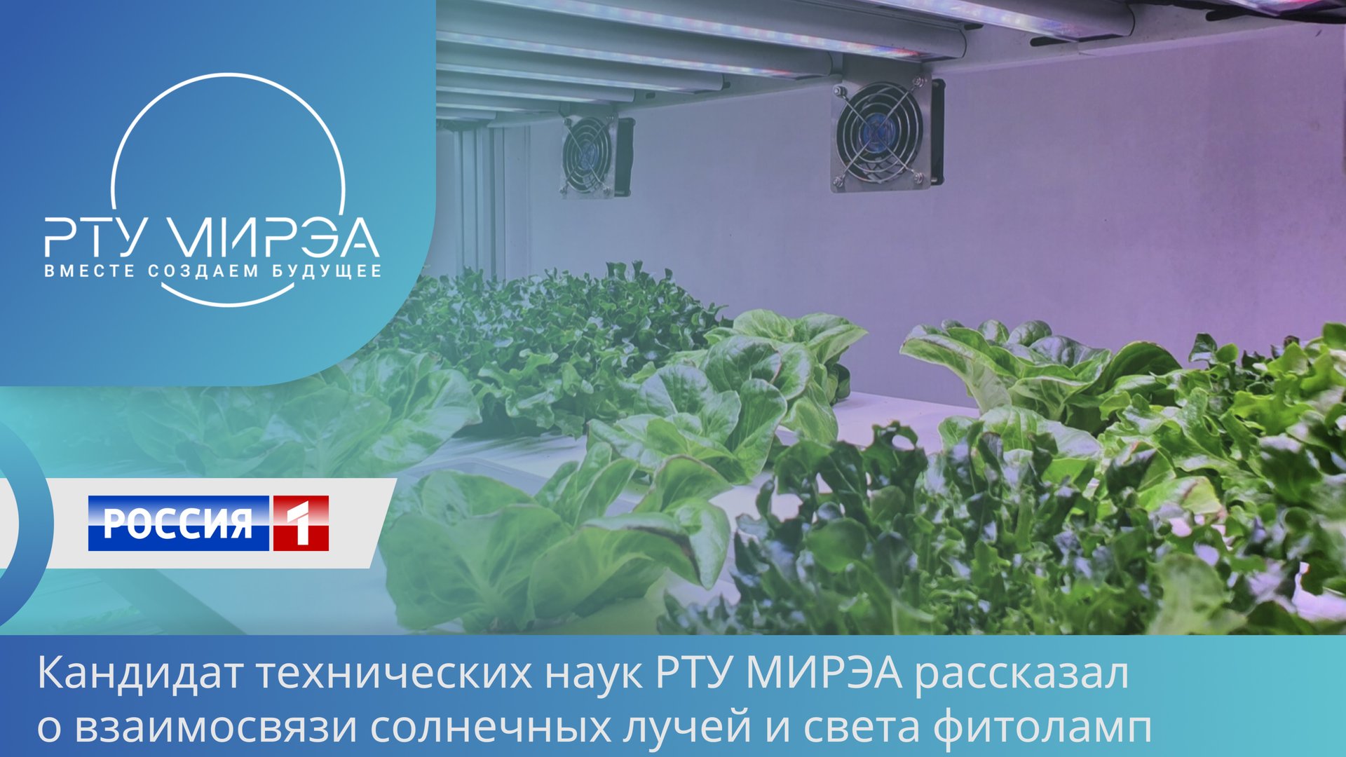 🌱💡Фитолампы: урожай на подоконнике и мифы о «розовом свете» смотреть онлайн