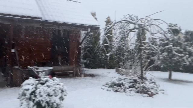 Прогулка по саду. Снег в апреле! 5 апреля 2025 Снежная ска смотреть онлайн