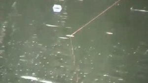 Ловля сома. Снасть с буйком.