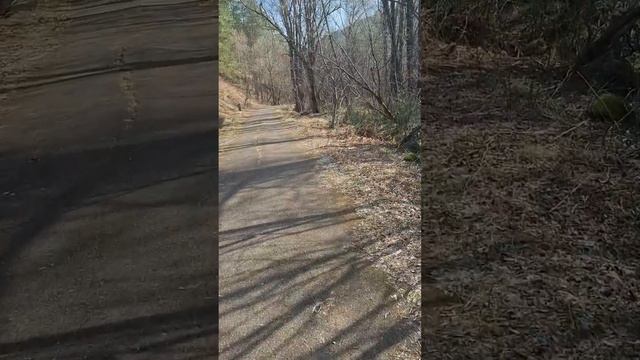 14 апреля 2025, берёзовый сок ❤️ ранняя весна! #природа #в смотреть онлайн