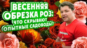 ВЕСЕННЯЯ ОБРЕЗКА РОЗ: Что скрывают опытные садоводы?