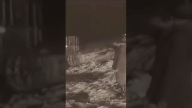 25 января 2025 г. Иван Бровкин на целине смотреть онлайн