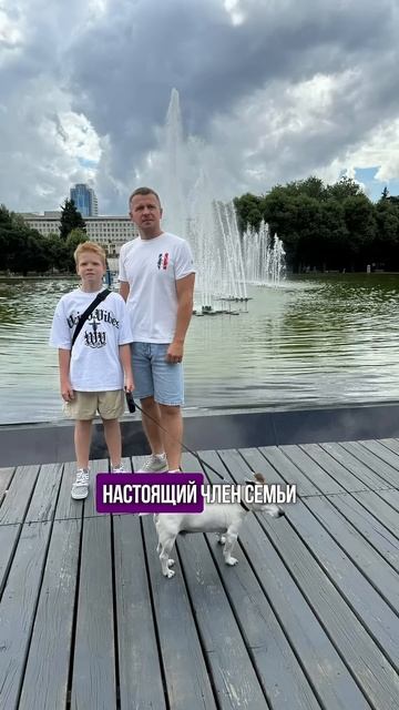 У кого тоже есть домашние питомцы, расскажите о них в к смотреть онлайн