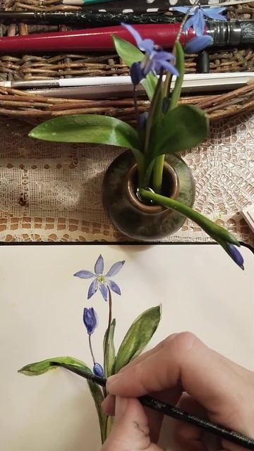 Пролески. Рисую первоцветы акварелью. Ботаническая ил смотреть онлайн