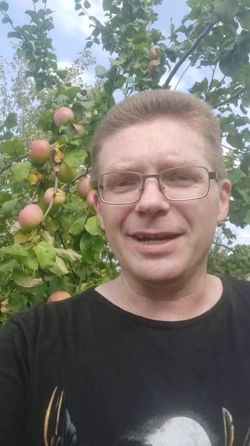 Программист и Огород смотреть онлайн