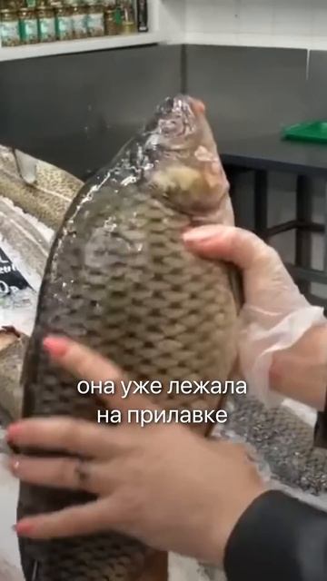 Вот почему рыба раньше была вкуснее... #рыба #рыбалка #м?