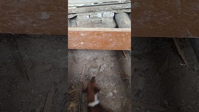 за каждым барьером нашей жизни, обязательно есть нечт? смотреть онлайн