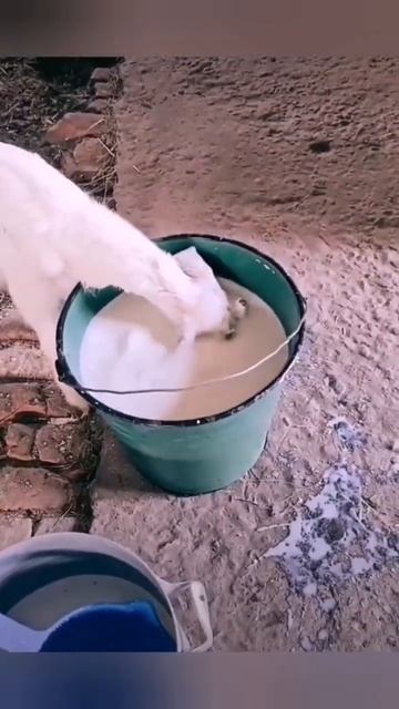 Есть нужно хотеть так, чтобы как будто в последний раз. смотреть онлайн