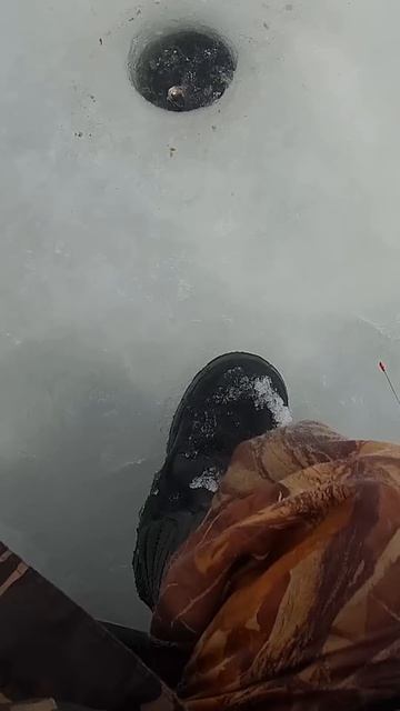 Страшно на льду.Зимняя рыбалка на щуку #селигер #рыбал?