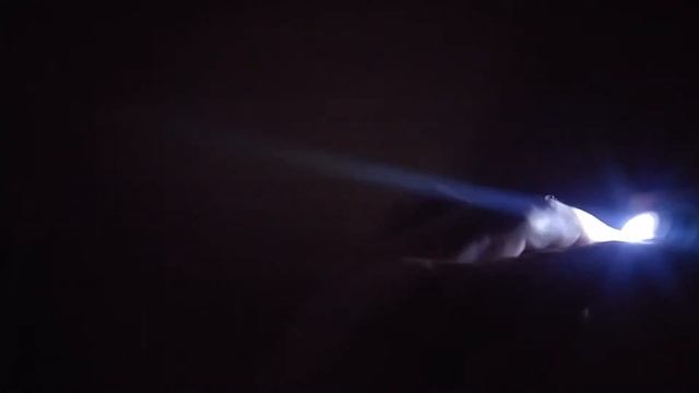 Эксперимент по выведению перепелов. Овоскоп своими руками смотреть онлайн