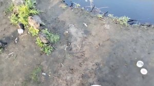 Рыбалка на полудонку!