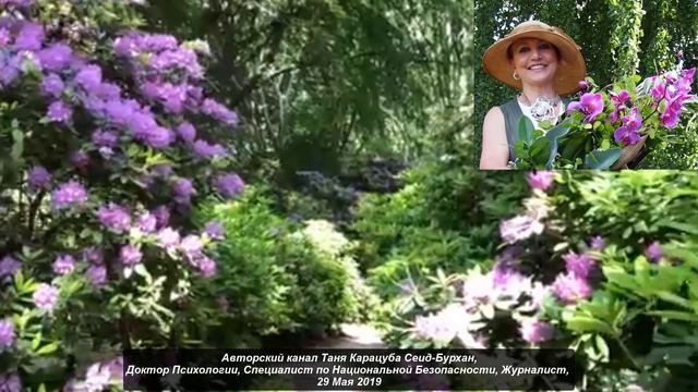 Новые правила медицинского страхования таят в себе уг смотреть онлайн