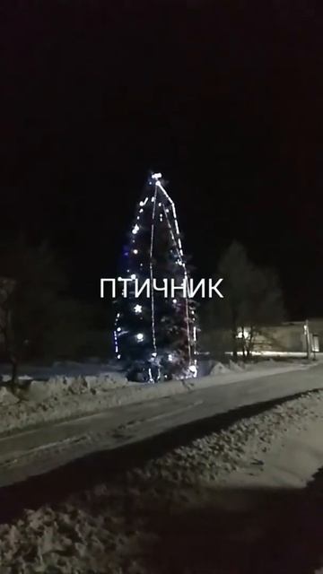 Ирбитская ярмарка и Ирбит! Новый 2020-2021 Год! ! ! И ГОЛУБ? смотреть онлайн