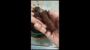 Промывка бойлера коственного нагрева Бакси