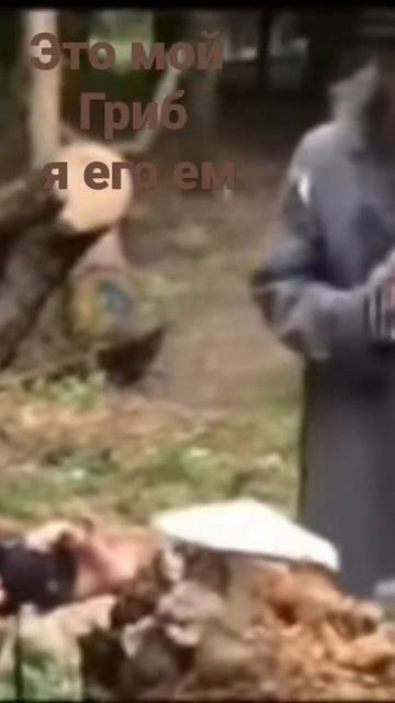 это мой гриб я его ем смотреть онлайн