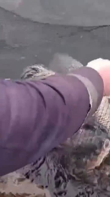 Рыба в Гжельском карьере, платная рыбалка круглый год