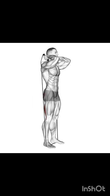 Упражнение с резиной на бицепс бедра смотреть онлайн