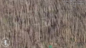 Апти Алаудинов "АХМАТ". Работа взвода огневой поддержки группы "Шрама"