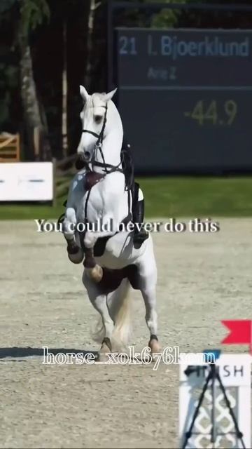 #конныйспорт #лошадимояжизнь #horse #пжрек #видеомоё #вер? смотреть онлайн