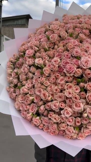 151 Кустовая роза #flowers #москва #пионы #розы #rose #цветы #бу? смотреть онлайн