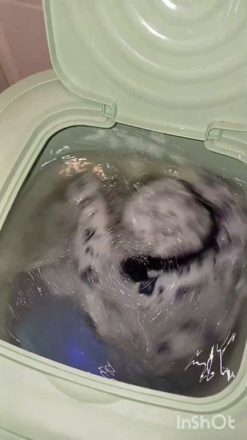 13.1.25 ДЕНЬ СТИРКИ #laundry #4amlaundry #laundryday смотреть онлайн