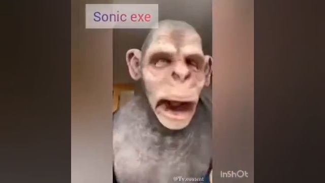 не много приколов:/ смотреть онлайн