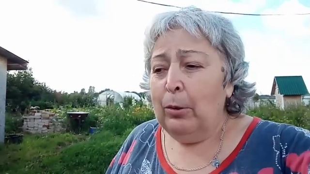 Последние дни лета 2024 г. И первый день осени. 1 сентября смотреть онлайн