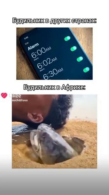 АХАХПХПХПХПХПХПХ Я СЕЙЧАС ВЗОРВУСЬ НА АТОМЫ#активпж#п