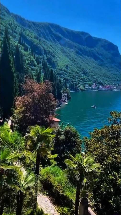 Прекрасный вид на озеро Комо💕| #шариклайф смотреть онлайн