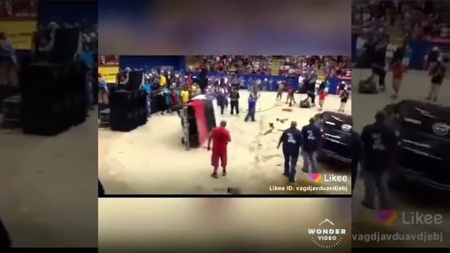 Дунйодаги енг катта кобра смотреть онлайн