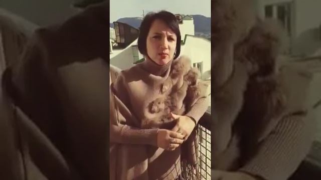 Высоцкий. "Пусть лапы у елей дрожат на весу..." Запись 8.0 смотреть онлайн