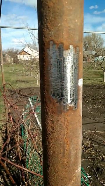 Болгариус #виноградник #шпалера #своимируками смотреть онлайн