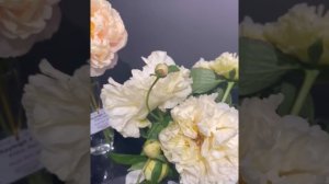 ВЫСТАВКА ПИОНОВ ПИОНОВЫЙ ФЕСТ 2024 в Минске