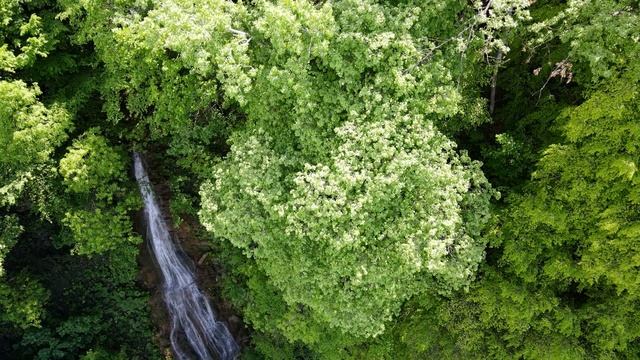Пиринешки и Златен водопади