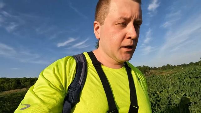 Золоотвалы. История, устройство, биоценозы, борщевик