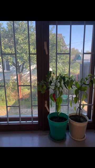 Пора в тепло… смотреть онлайн