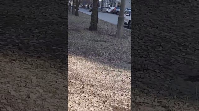 чудодейственный свет солнца** смотреть онлайн