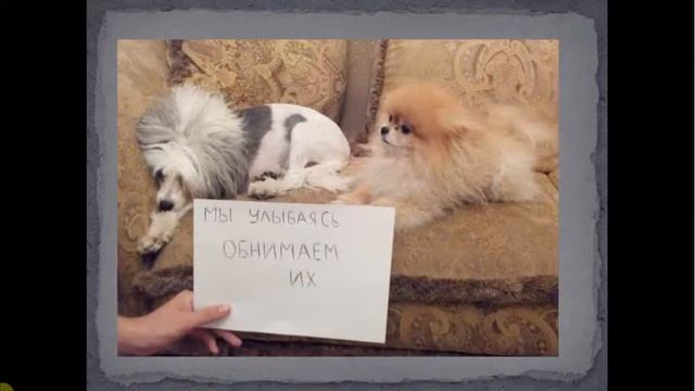 Паша день рождения смотреть онлайн