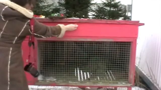 Украшение домика кролика к Рождеству. смотреть онлайн