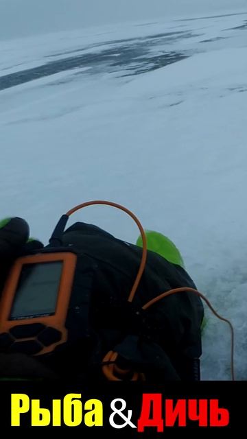 Поклёвки окуня по эхолоту Практик 6 М