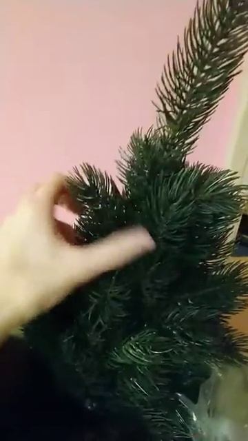 ель кремлевская зеленая смотреть онлайн