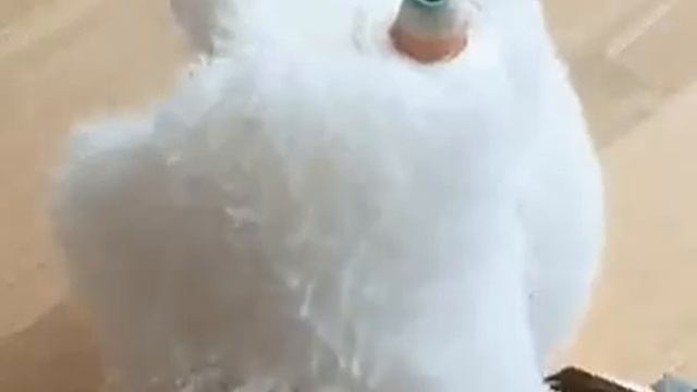 Интересная штучка из бинта смотреть онлайн