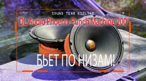Бьет по низам! DL Audio Phoenix Punch Machine 200!