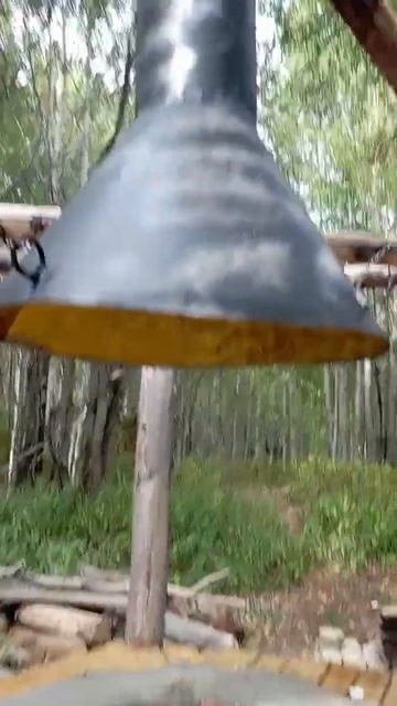 Необычная беседка в лесу! #shorts смотреть онлайн