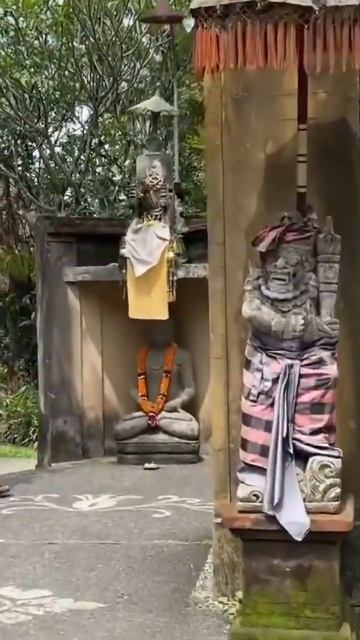 #bali #indonesia #бали #mahagiripanoramicresort&restaurant #индонезия #рисовые? смотреть онлайн