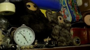 В гостях у коллекционера